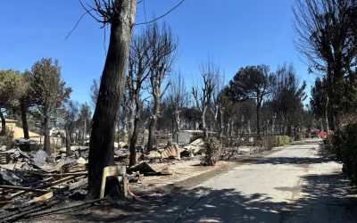 Update over de brand
