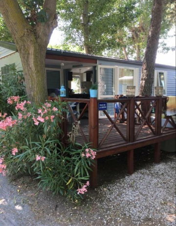 RG 117 — foto 2